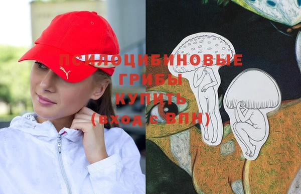 ALPHA PVP Белокуриха