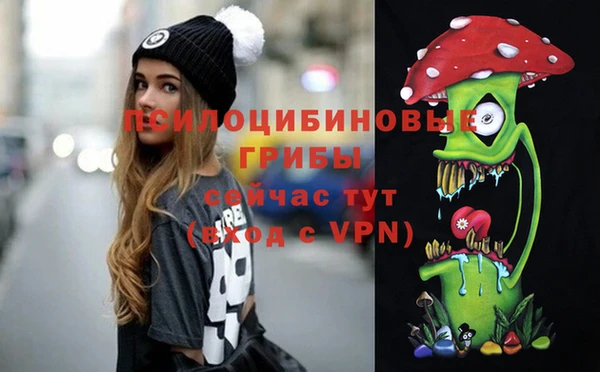 ALPHA PVP Белокуриха