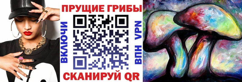 Галлюциногенные грибы MAGIC MUSHROOMS  Бикин 
