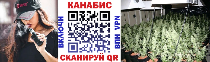 Бошки марихуана MAZAR  где можно купить   hydra онион  Бикин 